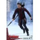 Avengers Age of Ultron Movie Masterpiece Action Figure 1/6 Hawkeye 30 cm